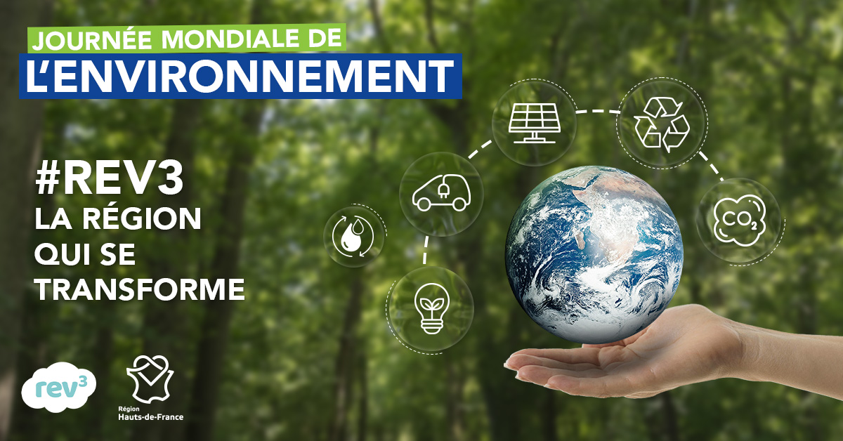 Journée mondiale de l’environnement : en Hauts-de-France, on agit au quotidien