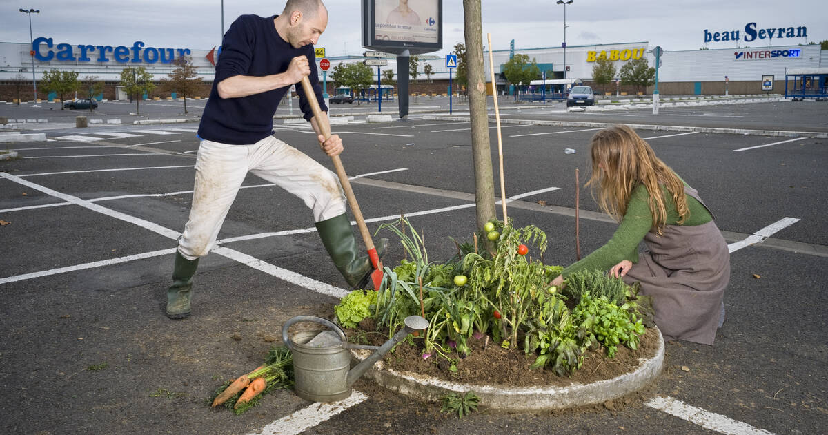 Ivan Péault fait une étude de supermarché – Libération