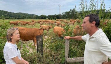 De Paris à une ferme de l’Eure, on a accompagné la maire du Ve partie choisir… une vache
