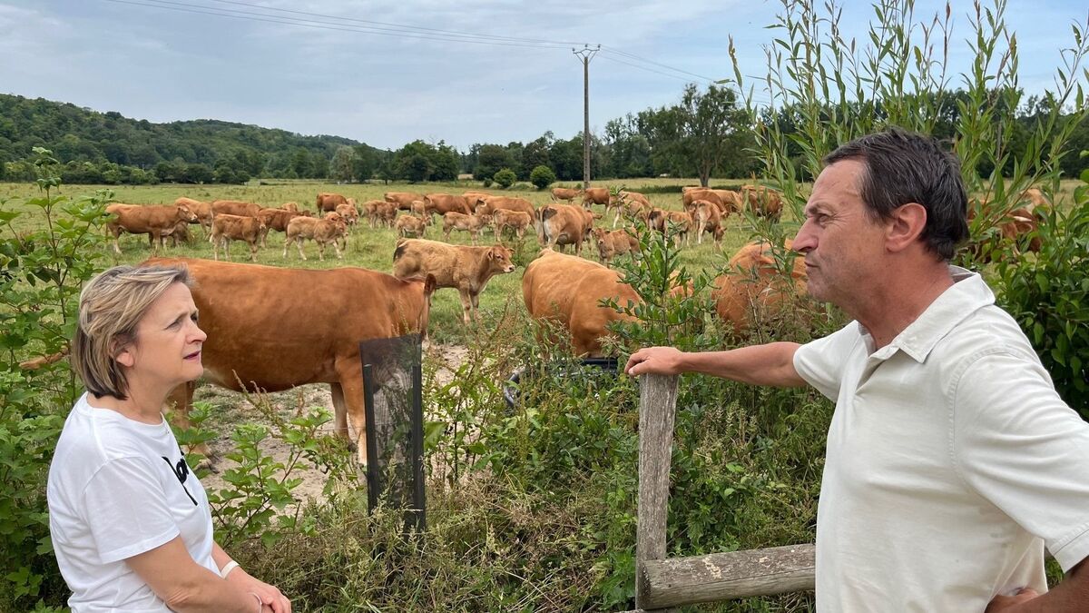 De Paris à une ferme de l’Eure, on a accompagné la maire du Ve partie choisir… une vache