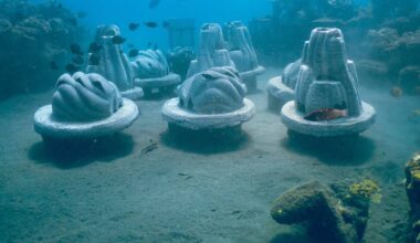 Bientôt des récifs à base de cendres humaines dans les eaux du Royaume-Uni ? – Libération