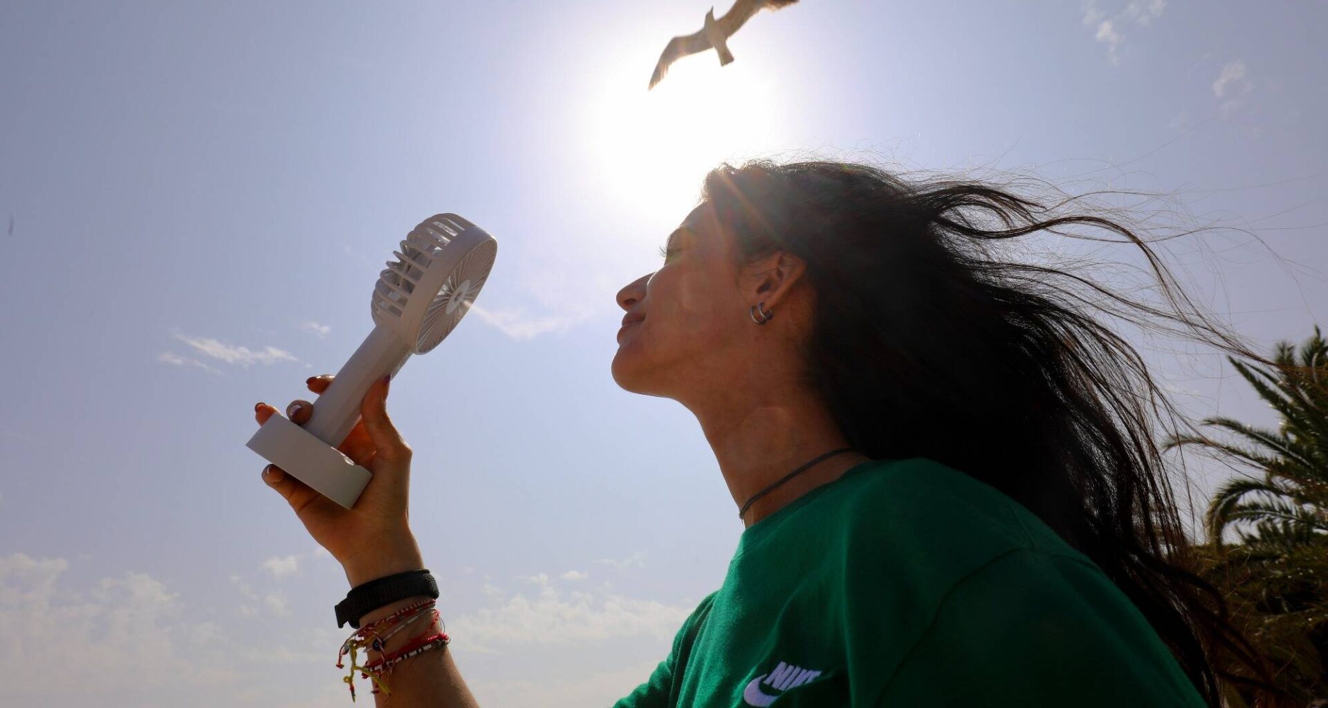 Météo dans le Var et les Alpes-Maritimes: de fortes températures sont attendues ce week-end