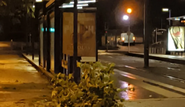 plusieurs parcs toujours fermés à Saint-Etienne-du-Rouvray