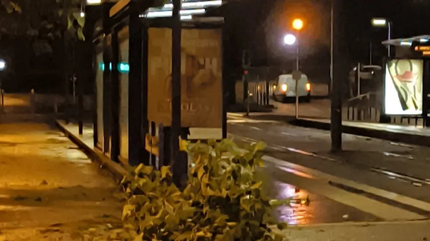plusieurs parcs toujours fermés à Saint-Etienne-du-Rouvray