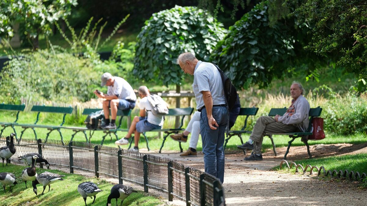 Paris : une nouvelle application pour permettre aux habitants d’arroser les arbres du XVIIe arrondissement