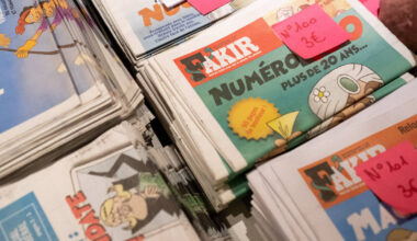 Le journal Fakir a-t-il eu recours à l’IA pour réaliser un livre de coloriage avec Guillaume Meurice ? – Libération