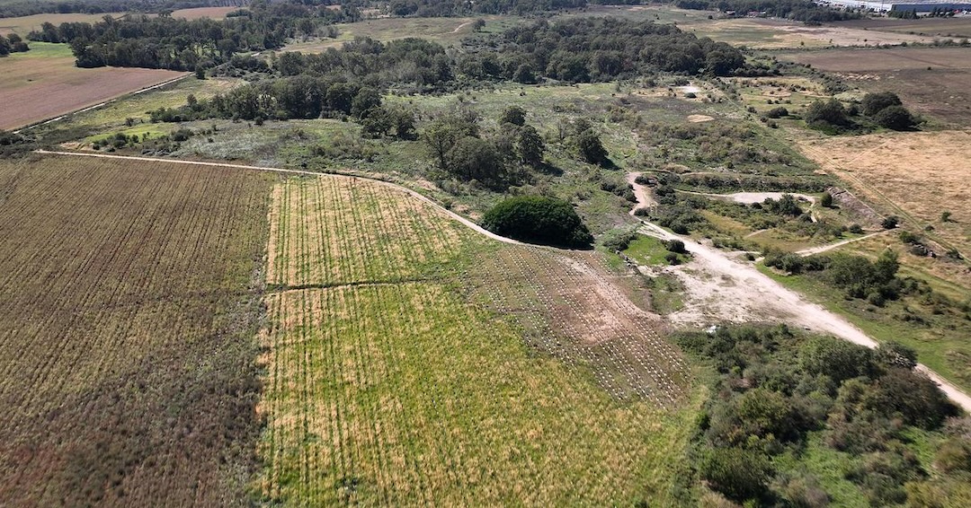 Au nord-ouest de Paris, un million d'arbres pour dépolluer la capitale