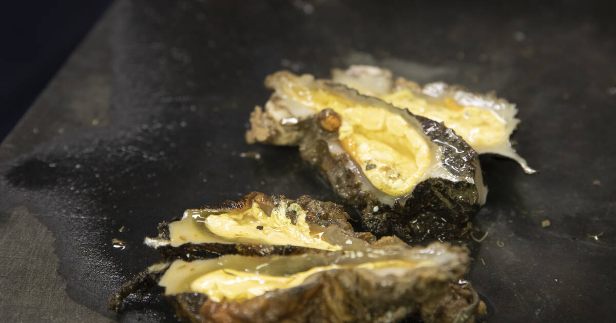 A Marseille, le violet de roche, un mollusque boudé mais pas coulé – Libération