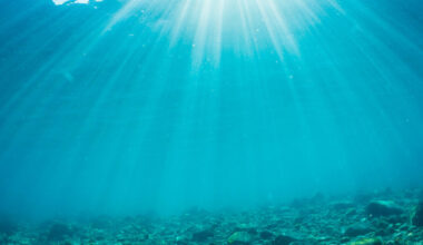 Pêche au chalut, pollution plastique, protection des abysses… à quoi aura servi le sommet sur l’océan de Nice ?
