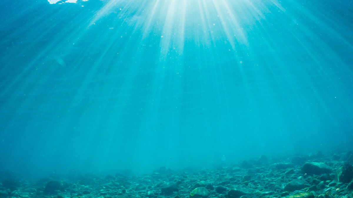 Pêche au chalut, pollution plastique, protection des abysses… à quoi aura servi le sommet sur l’océan de Nice ?