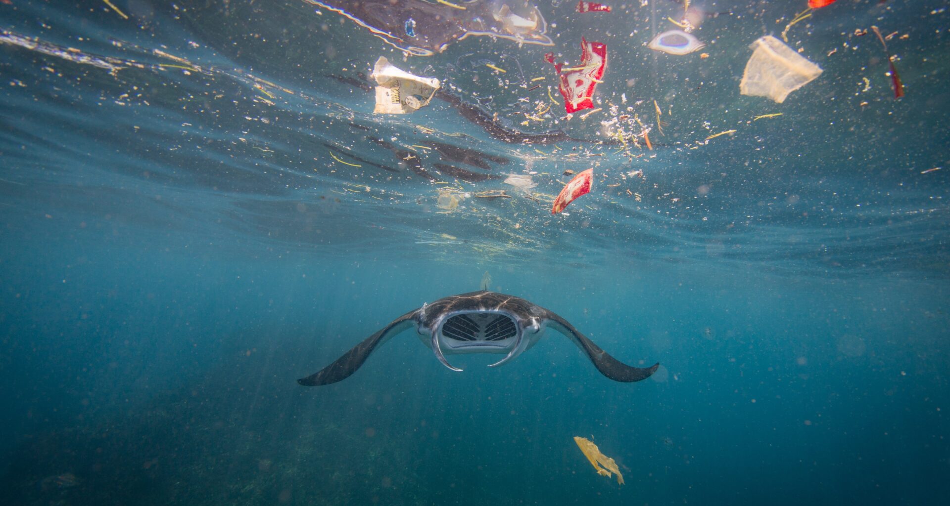 95 pays signent un « appel de Nice » pour un traité ambitieux sur la pollution plastique