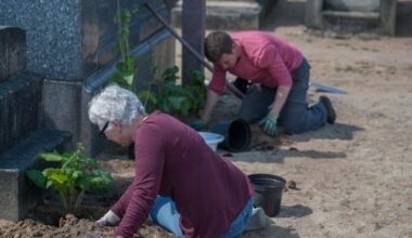 Jardinage, culture… Quand les cimetières se réinventent à Nantes
