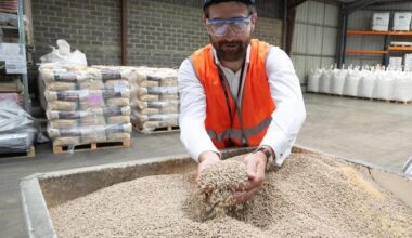 REPORTAGE. Cette usine cuisine pour les porcelets que vous mangez