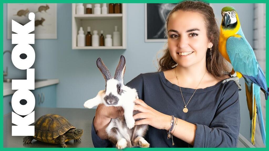 VIDÉO. « On peut soigner autant un lapin qu’un perroquet ! » Je teste le métier de