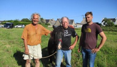 De Rennes à Camaret-sur-Mer, il traverse la Bretagne à pied avec sa ponette