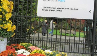 À Nantes, une rencontre artistique crépusculaire au cimetière-parc