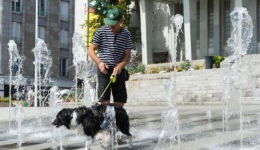 Des actions en faveur de la place de l’animal en ville, à Nantes