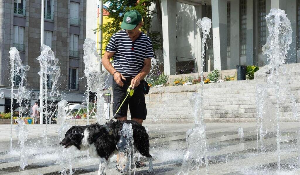 Des actions en faveur de la place de l’animal en ville, à Nantes
