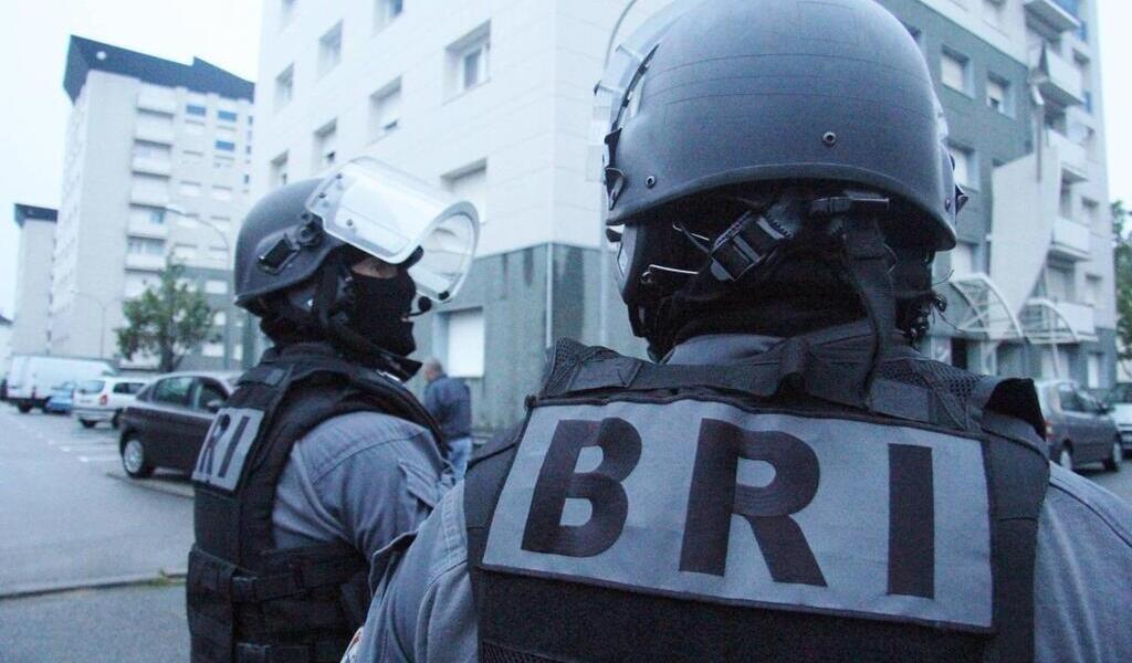 « Un gros coup » : 3,5 tonnes de drogue d’un même réseau saisies depuis mars