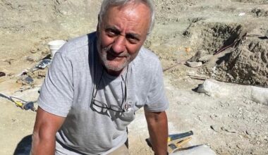 Une équipe est lancée sur la piste du futur « dinosaure de Nantes »