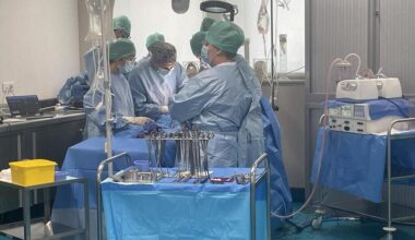 À Rennes, ils « ressuscitent » des organes pour se former au prélèvement