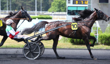 Arrivée du quinté du dimanche 22 juin à Vincennes : Troisième quinté pour Killiam Fromentro
