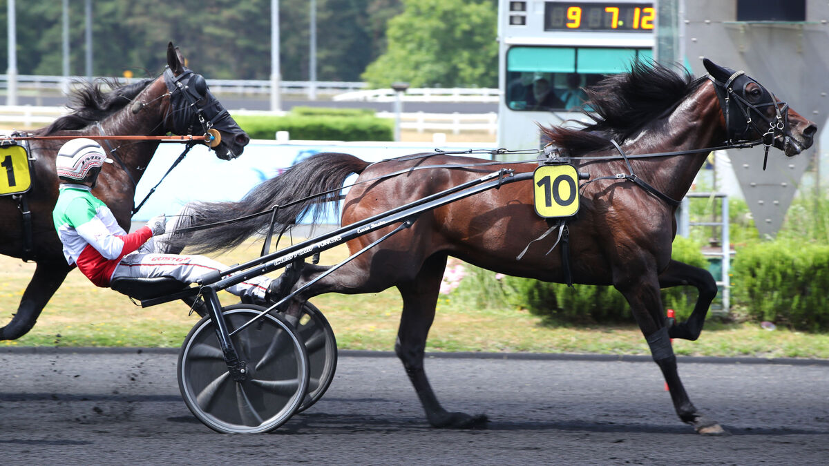 Arrivée du quinté du dimanche 22 juin à Vincennes : Troisième quinté pour Killiam Fromentro
