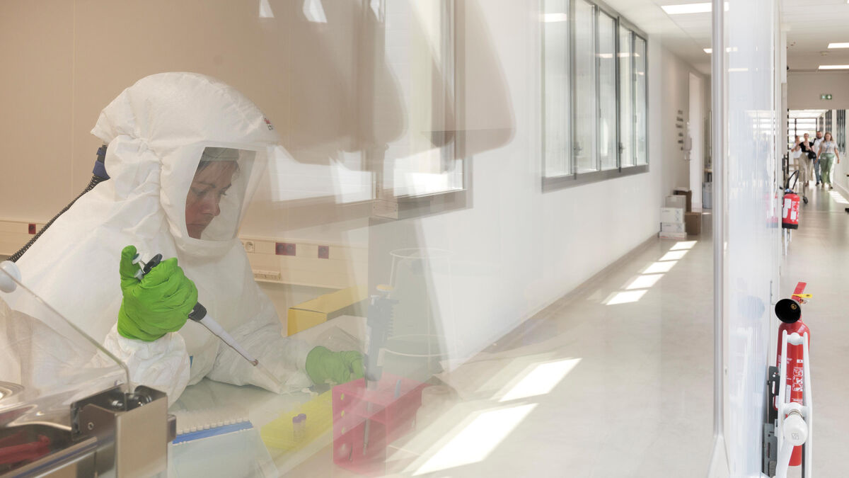 « Le risque est réel » : chikungunya, dengue... La crainte d’une épidémie provoquée par les moustiques