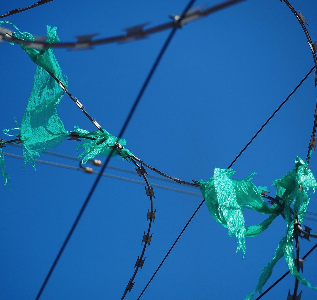 Destimed Plastique Photo hagay sobol