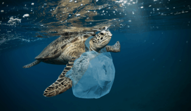 Selon la Commission européenne, environ 4,8 à 12,7 millions de tonnes de plastique terminent dans les océans chaque année - Crédits : Jag_cz / iStock