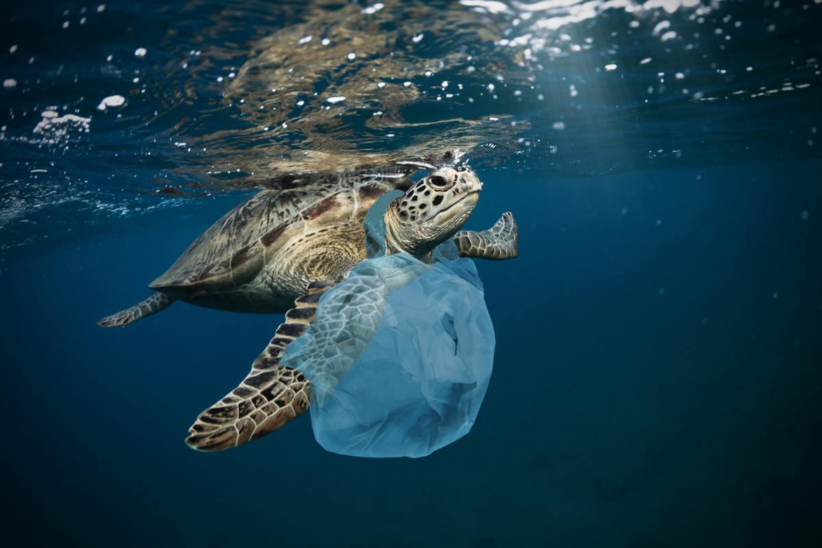 Selon la Commission européenne, environ 4,8 à 12,7 millions de tonnes de plastique terminent dans les océans chaque année - Crédits : Jag_cz / iStock