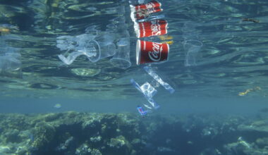 Le « One ocean science congress » de Nice, un congrès scientifique pour sauver l’océan