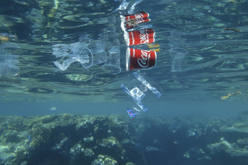 Le « One ocean science congress » de Nice, un congrès scientifique pour sauver l’océan