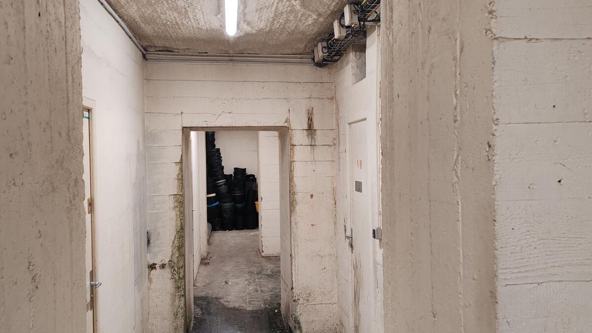 Sous les pavés, les bunkers : à Paris, que faire des 250 blockhaus à l’abandon ?