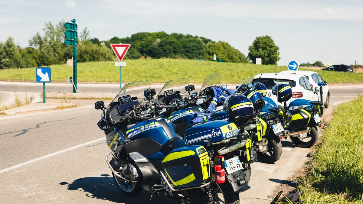 Ils géraient un réseau de trafic de drogue entre Toulouse et Aurillac : trois frères condamnés à de la prison ferme