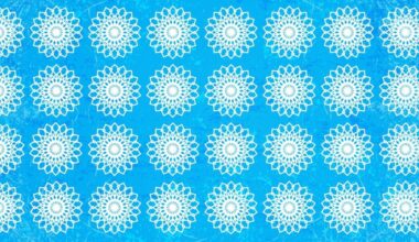Trouvez l’intrus en 15 secondes dans ce test visuel