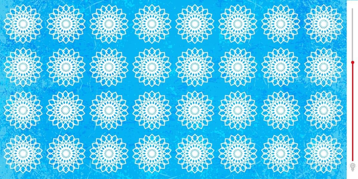 Trouvez l’intrus en 15 secondes dans ce test visuel
