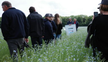 Près du Neubourg, 150 agriculteurs réunis pour découvrir l'agriculture de demain