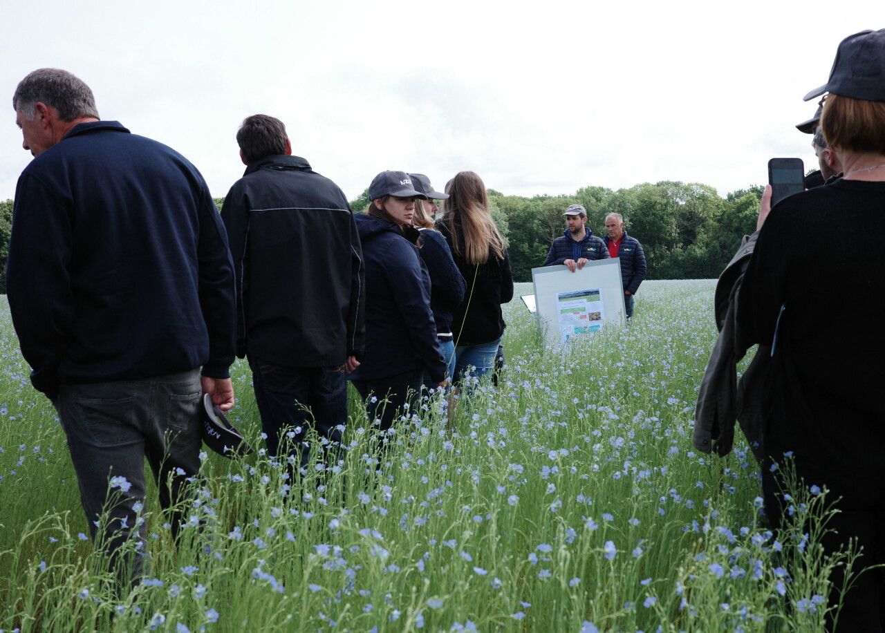 Près du Neubourg, 150 agriculteurs réunis pour découvrir l'agriculture de demain