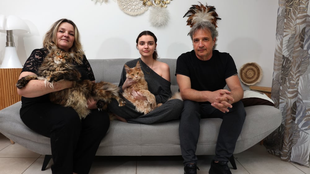 "La maladie nous a rapprochés", immersion chez les Saliceti à Allauch