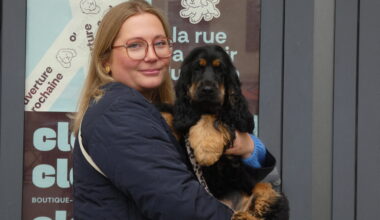 un concept inédit débarque pour les chiens et leurs propriétaires