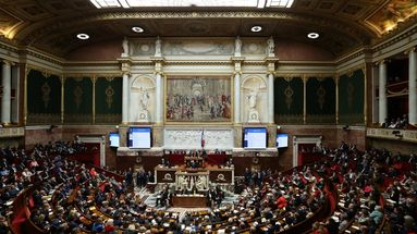 Un an après la dissolution, quel bilan pour une Assemblée nationale si divisée ?