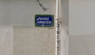 qui est Louis de Lamoricière, ce général controversé visé par Rémi Féraud ?