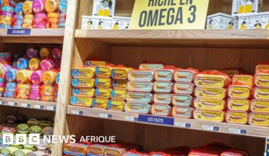 Nutrition: les effets bénéfiques des sardines en conserve sur l’organisme
