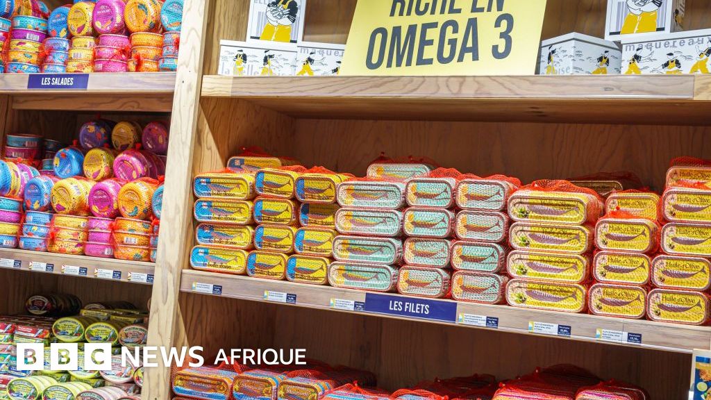 Nutrition: les effets bénéfiques des sardines en conserve sur l’organisme