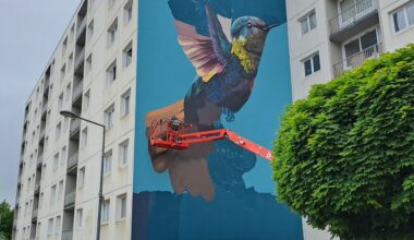 Une fresque monumentale peinte par l'artiste Blesea dans le quartier des Provinces