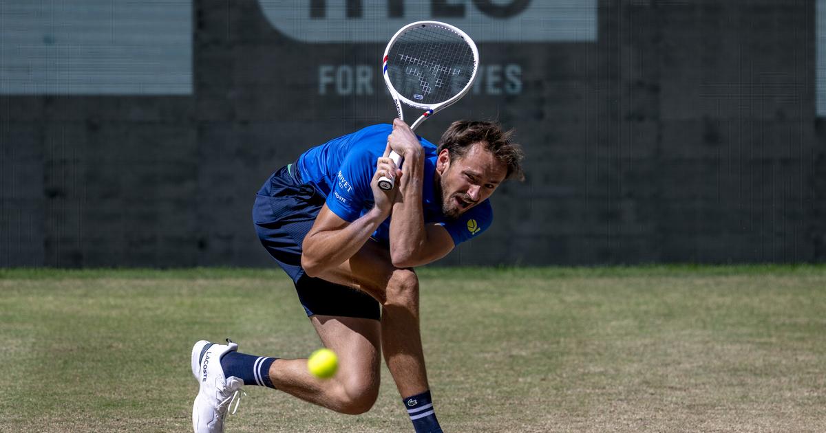Medvedev s’offre Zverev à Halle et une première finale en 15 mois