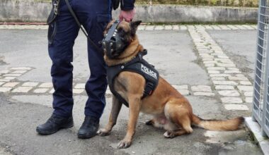 Grenoble. L'homme en trottinette intrigue les policiers, il cachait une sacrée cargaison