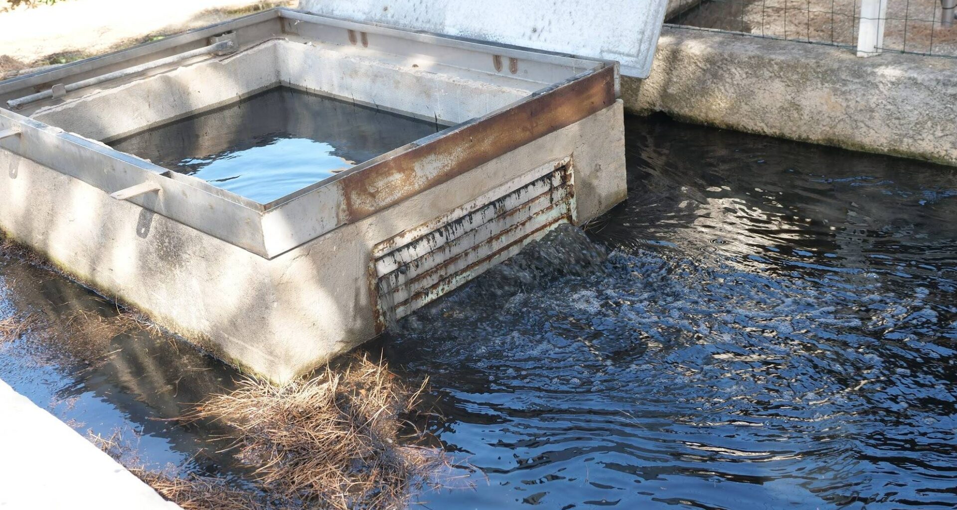 À Bandol, baignade interdite dans toute la baie ce mercredi après une rupture de canalisation d'eaux usées