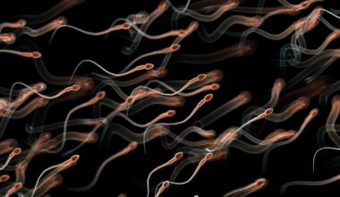 Après 19 ans d'attente, elle tombe enfin enceinte grâce à l'intelligence artificielle